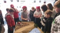 PÓŁKOLONIE ZIMOWE DLA DZIECI ORGANIZOWANE PRZEZ TOWARZYSTWO BRATA ALBERTA I KLUB RELAX